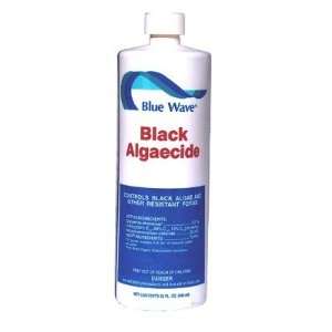 Black Zapper Algaecide (1 Quart): Patio, Lawn & Garden