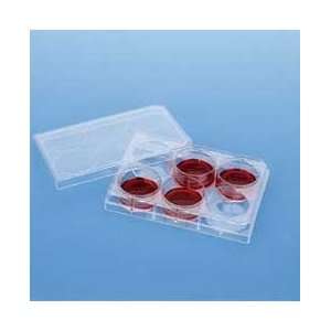   Companion Plates for Inserts, Sterile, BD Biosciences   Model 353504