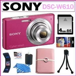   LCD in Pink + 4GB SDHC + Sony Case + Accessory Kit