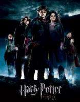 Harry Potter and The Goblet of Fire Movie Tin Sign SCRA  
