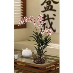    4269993 Vanda With Root Base Silk Orchid Arrangement