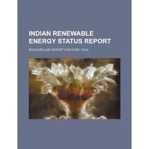 Indian renewable energy status report background report for DIREC 