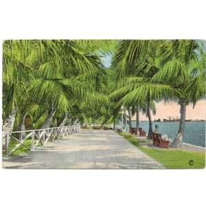   Postcard Promenade along Biscayne Bay   Miami Florida 