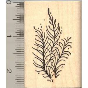  Sea Weed Rubber Stamp: Arts, Crafts & Sewing