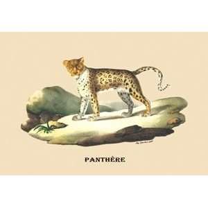  Panthere (Panther)   12x18 Framed Print in Black Frame 