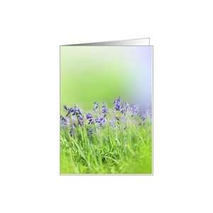 Beautiful Bluebells on soft green background, photography, blank card 