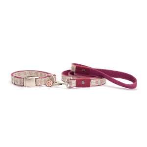  Heliotrope Dog Walking Set