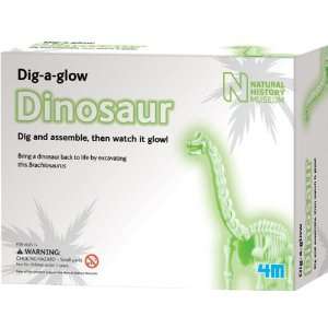  Dig A Glow Dinosaur   Brachiosaurus Toys & Games