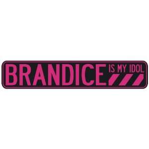   BRANDICE IS MY IDOL  STREET SIGN