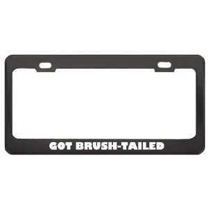 Got Brush Tailed Bettong? Animals Pets Black Metal License Plate Frame 