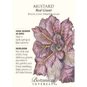  Mustard Red Giant Seed Patio, Lawn & Garden