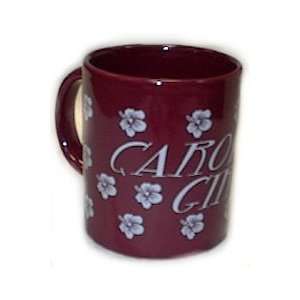   : South Carolina Gamecocks Mug Burg Carolina Girl: Sports & Outdoors