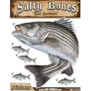  Salty Bones Large Striped Bass Action Decal   13.5 x 10.5 