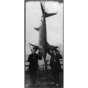  HW Adams,Captain K. Walker,Worlds Record Swordfish,CA 