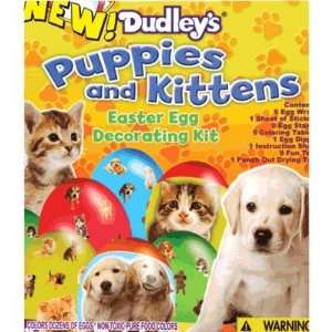    Dudleys Puppies & Kittens Easter Egg Coloring Kit: Toys & Games