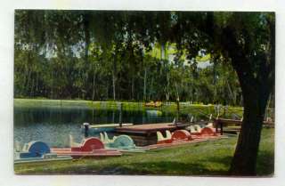 Paddle Boats At Myakka State Park Near Sarasota FLORIDA  