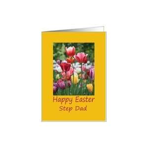 Step Dad Happy Easter   Multicolored Tulips Card Card