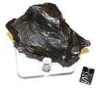 collection meteorite 203gr shaped sikhote alin shrapnel $ 400 00 time 