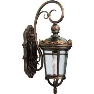 Standish Outdoor Wall Down Lantern in Legecy Bronze with 