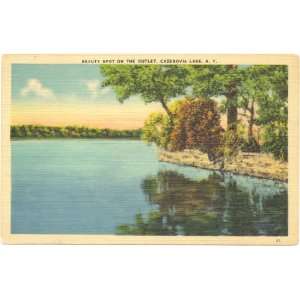   Vintage Postcard Beauty Spot on the Outlet   Cazenovia Lake New York