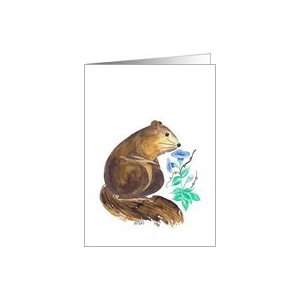  Snazy Silvester Squirrel Card: Toys & Games