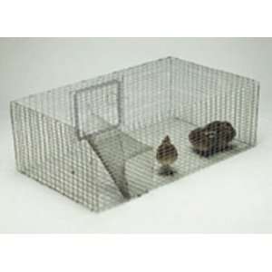  Marley Quail Recall and Holding Pen