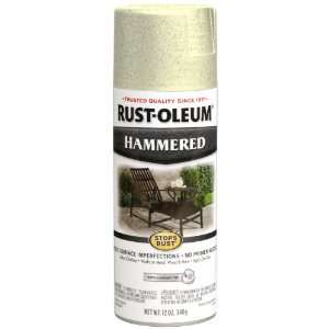   12 Ounce Spray Paint, Hammered Metal Finish Ivory: Home Improvement