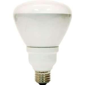  GE Lighting 15 Watt R30 CFL Reflector Light Bulb   20708 