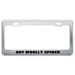 Got Woolly Spider Monkey? Animals Pets Metal License Plate 