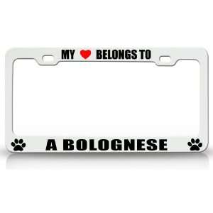 MY HEART BELONGS TO A BOLOGNESE Dog Pet Steel Metal Auto License Plate 
