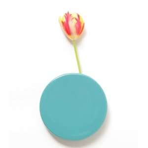  Chive Wall Dot Teal Vase