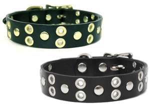 Gold grommet Small Dog Cat Collar leather studded studs  