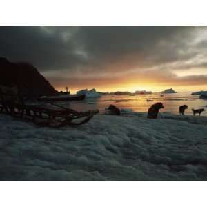  Twilight View of Sled Dogs and Sled on Shore with Boat in 