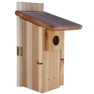  Stovall Wood Ultimate Bluebird House with Window Patio 