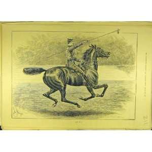   Sticking Horse Rider Sport Spear Sturgess Military