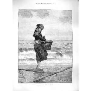    1889 YOUNG GIRL SHRIMPER FISHING BASKET SHRIMPS SEA