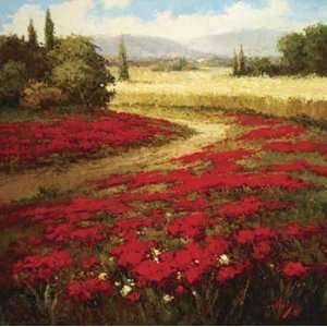 Red Poppy Trail   Poster by Peter Hulsey (35 x 35)