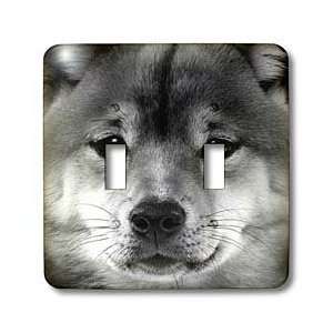 VWPics Dogs n Cats   Shiba Inu   Light Switch Covers   double toggle 