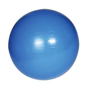  Izzo Core Balance Ball