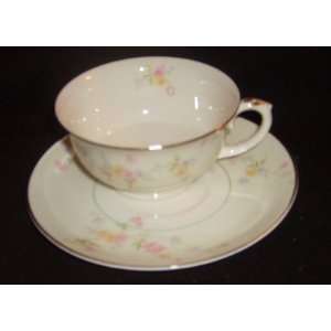    Pope Gosser Clementine 1126 Cup and Saucer 