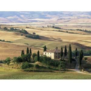 Farmhouse and Cypress Trees in the Early Morning, San Quirico dOrcia 