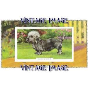   5cm) Acrylic Keyring Dogs Dandie Dinmont Vintage Image