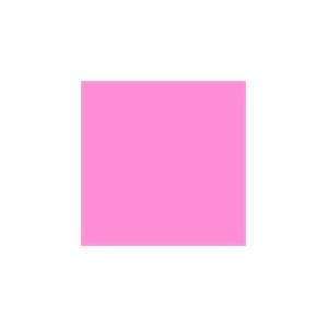   Astrobright Pulsar Pink 8 1/2x11 Label Paper 100/pkg