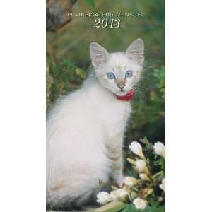   (French) Sm Mthly (Petits Minous) 2013 Calendar