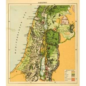 : 1903 Lithograph Antique Map Palestine Middle East Natural Resources 