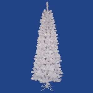  Christmas Tree   White Salem Pencil Pine   A103266: Home 
