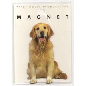 PAPER HOUSE PRODUCTIONS Magnet   Golden Retriever:  Kitchen 