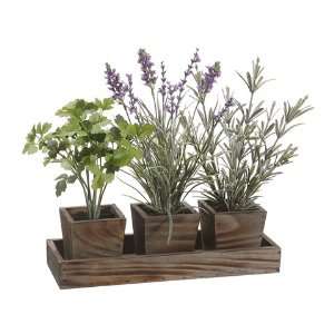   in Wood Planter x3 w/Tray Green Lavender (Pack of 4): Home & Kitchen
