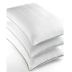  Hotel Collection Down Soft Support Standard Pillow for 