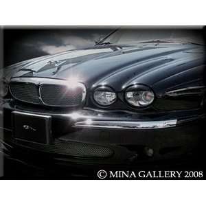  Eye Lid Light Covers for Jaguar X Type Automotive